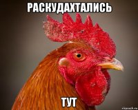 раскудахтались тут