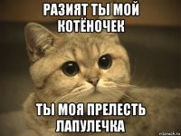 разият ты мой котёночек ты моя прелесть лапулечка