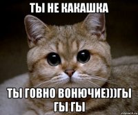 ты не какашка ты говно вонючие)))гы гы гы