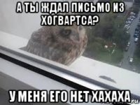 а ты ждал письмо из хогвартса? у меня его нет хахаха