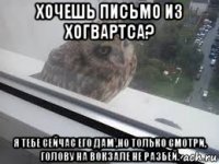 хочешь письмо из хогвартса? я тебе сейчас его дам ,но только смотри, голову на вокзале не разбей.