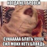 когда нет бровей сукааааа блять ууууу сил моих нету бляядь