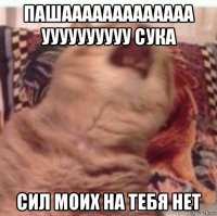 пашааааааааааааа уууууууууу сука сил моих на тебя нет