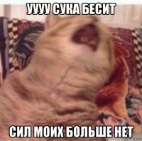 уууу сука бесит сил моих больше нет