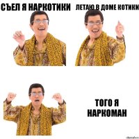 Съел я наркотики Летаю в доме котики Того я наркоман