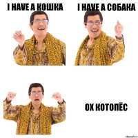 I have a Кошка I have a Собака Oх котопёс