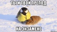 ты и твой препод на экзамене