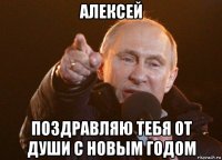 алексей поздравляю тебя от души с новым годом