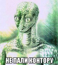  не пали контору