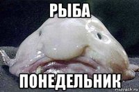рыба понедельник