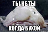 ты не ты когда бухой