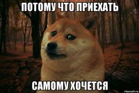 потому что приехать самому хочется