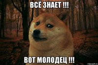 всё знает !!! вот молодец !!!