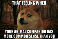 that feeling when your animal companion has more common sense than you