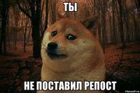 ты не поставил репост