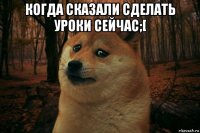 когда сказали сделать уроки сейчас;[ 