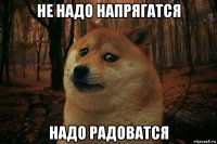 не надо напрягатся надо радоватся