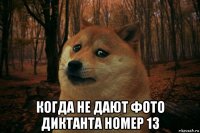  когда не дают фото диктанта номер 13