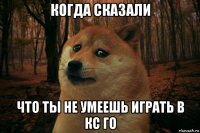 когда сказали что ты не умеешь играть в кс го