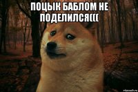 поцык баблом не поделился((( 