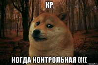 кр когда контрольная ((((