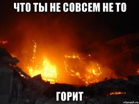 что ты не совсем не то горит