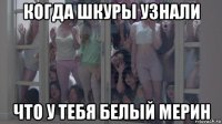 когда шкуры узнали что у тебя белый мерин