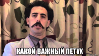  какой важный петух