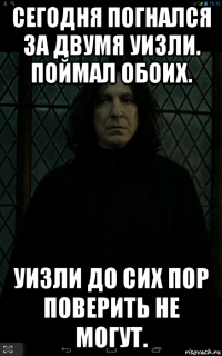 сегодня погнался за двумя уизли. поймал обоих. уизли до сих пор поверить не могут.