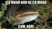 со мной или не со мной сом, ной!