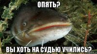 опять? вы хоть на судью учились?
