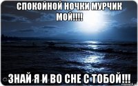 спокойной ночки мурчик мой!!!! знай я и во сне с тобой!!!