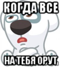 когда все на тебя орут