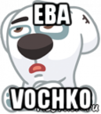 eba vochko