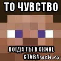 то чувство когда ты в скине стива