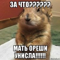 за что?????? мать ореши унисла!!!!!!