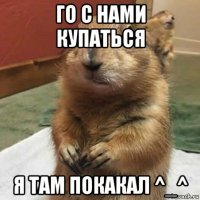 го с нами купаться я там покакал ^_^