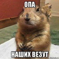 опа наших везут