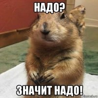 надо? значит надо!