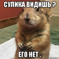 сулика видишь ? его нет .