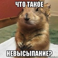 что такое невысыпание?