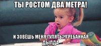 ты ростом два метра! и зовёшь меня гулять?!гребанная дылда