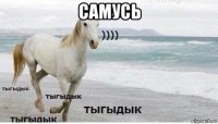 самусь 