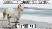 вон лошадь была уже на мере а ты нет!!