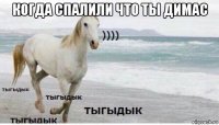 когда спалили что ты димас 