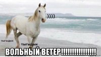  вольный ветер!!!!!!!!!!!!!!!!