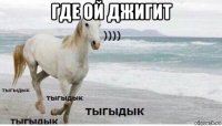 где ой джигит 