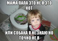 мама папа это не я это кот или собака я не знаю но точно не я