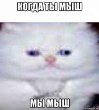 когда ты мыш мы мыш