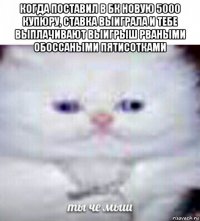 когда поставил в бк новую 5000 купюру, ставка выиграла и тебе выплачивают выигрыш рваными обоссаными пятисотками 